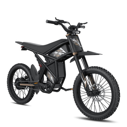 Black GT73 Pro electric motorbike with rugged off-road tires and rear gear hub motor design